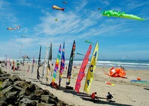 Kite Festival - Rockaway Beach Oregon