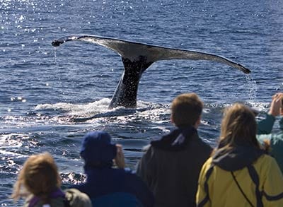 Observing the whales, Rockaway Beach, Oregon
