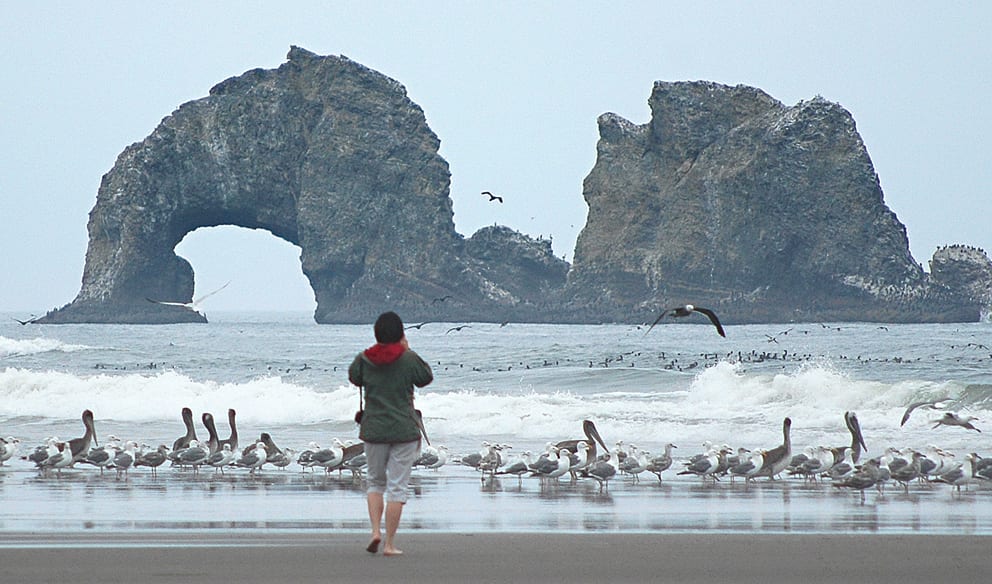 Visitor photographing Twin Rocks, Rockaway Beach, Oregon