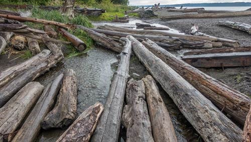 Logs on Rockaway Beach, Oregon