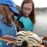 crabbing01