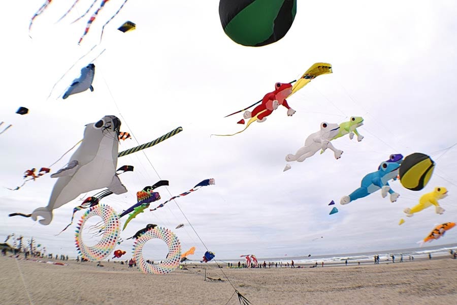 Kite flying, Rockaway Beach, Oregon