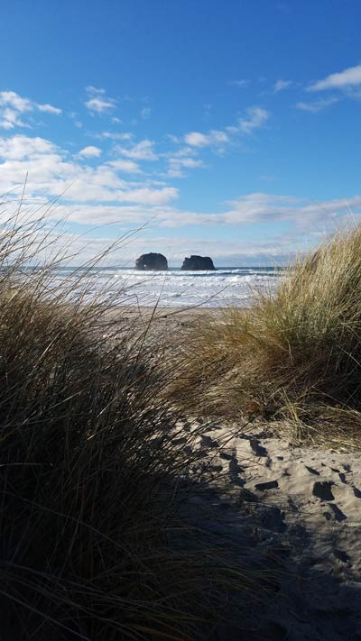 Great Backyard Bird Count, Rockaway Beach, Twin Rocks