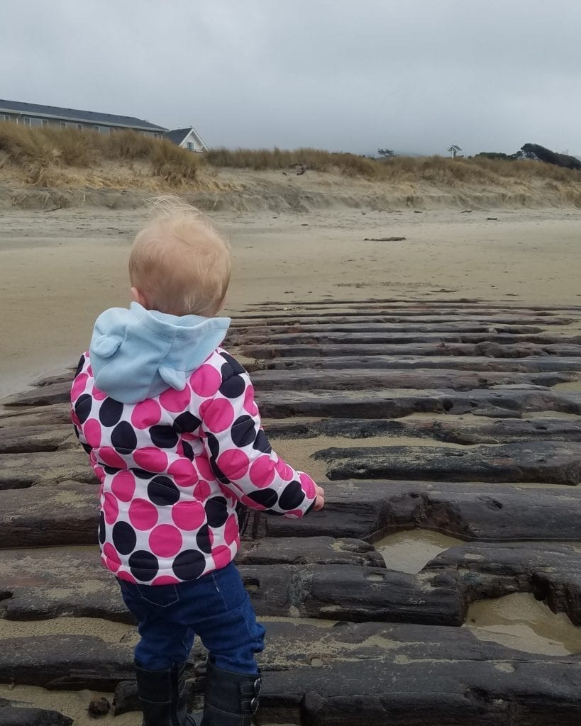 Emily G. Reed Shipwreck