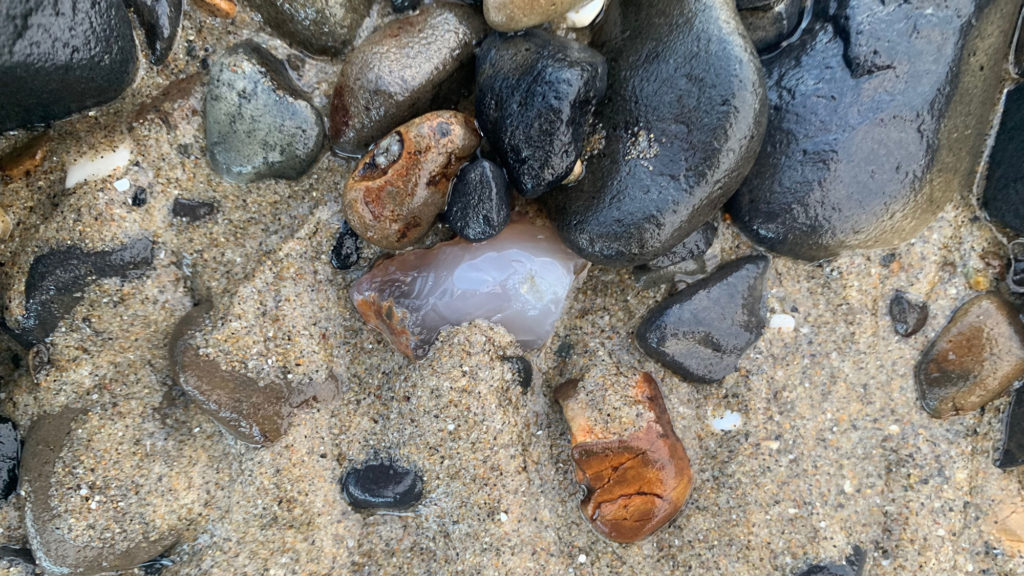 How to spot rocks when rockhounding - Rockaway Beach