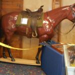 international-police-museum-horse