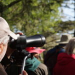 Group of people birdwatching with binoculars
