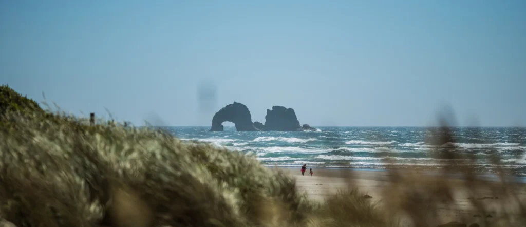 Sea stacks off the coast.