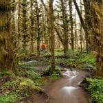 munson-creek02