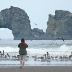twinrocks_birds.banner