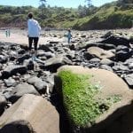 beachcombing01