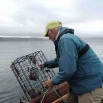 crabbing