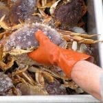 crabbing02