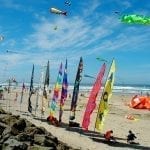 kites.banner