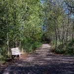 park