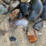 rockhounding hidden agate