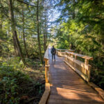 Hiking the old growth cedar trail.